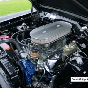 Meet your Posher, Robert